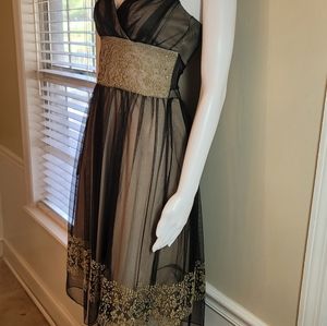 Teeze Me Dress Beige w Black Sheer Overlay and Beautiful Embroidery Details